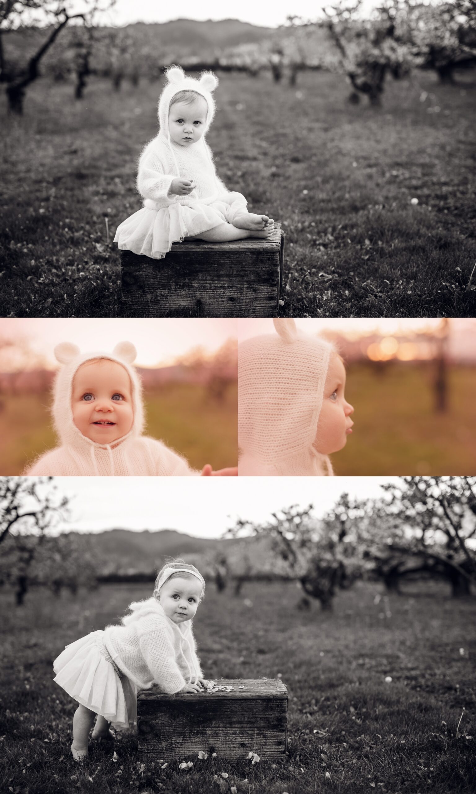 2015-03-21_0014
